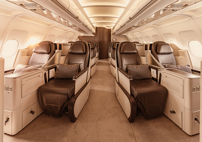 Airbus A319 CJ - Business Class Seats