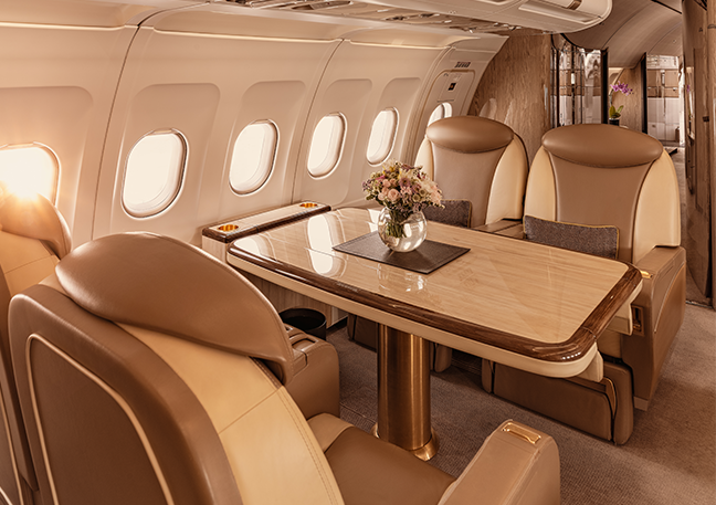 Airbus A319 CJ Business Class
