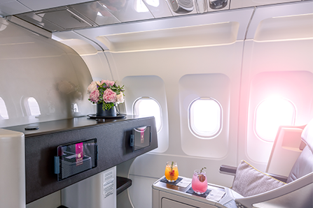Airbus A319 CJ Business Class